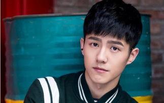 忠哥爆料林先生视频大全,林先生视频大全背后的惊人真相  第3张