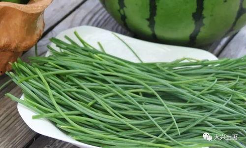 成县的吃瓜网红是谁啊,揭秘网络红人的魅力与影响力  第1张